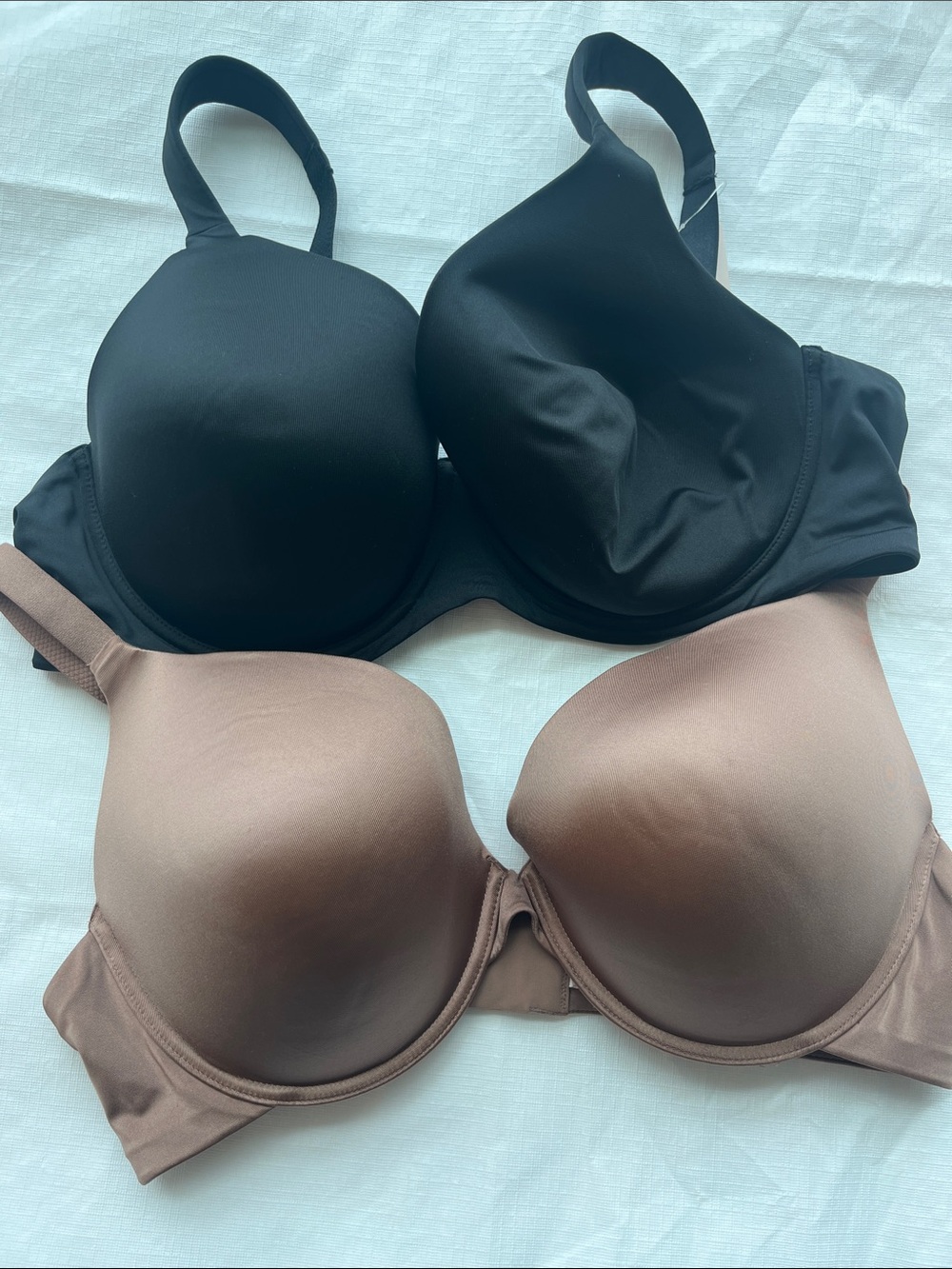 Secret Treasures Smooth Molded T-Shirt Bras in Black and Brown